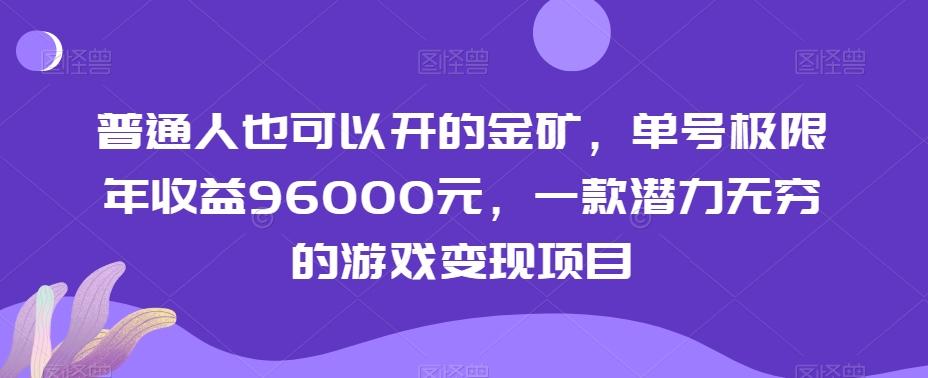 普通人也可以开的金矿，单号极限年收益96000元，一款潜力无穷的游戏变现项目【揭秘】-云泽轻创网