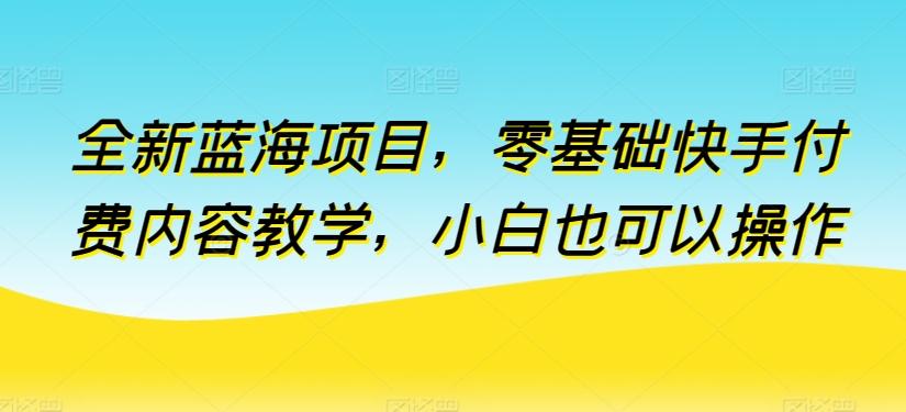 全新蓝海项目，零基础快手付费内容教学，小白也可以操作【揭秘】-云泽轻创网