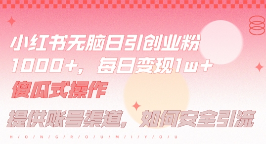 小红书无脑每日引流创业粉500+，小白每天只花半小时，躺赚长尾收益【揭秘】-云泽轻创网