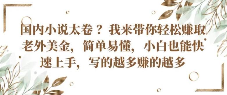 国内小说太卷 ?带你轻松赚取老外美金，简单易懂，小白也能快速上手，写的越多赚的越多【揭秘】-云泽轻创网