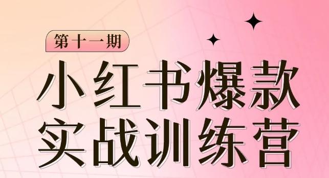 小红书博主爆款训练营第11期，手把手教你从0-1做小红书，从定位到起号到变现-云泽轻创网