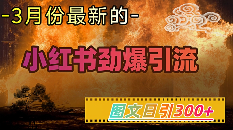 小红书超劲爆引流手段，图文日引300+轻松变现1W-云泽轻创网