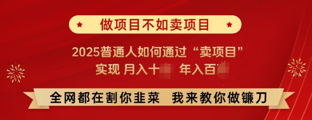 必看，做项目不如卖项目，2025普通人如何通过“卖项目”实现月入十个，年入百个-云泽轻创网
