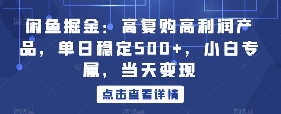 闲鱼掘金：高复购高利润产品，单日稳定500+，小白专属，当天变现-云泽轻创网