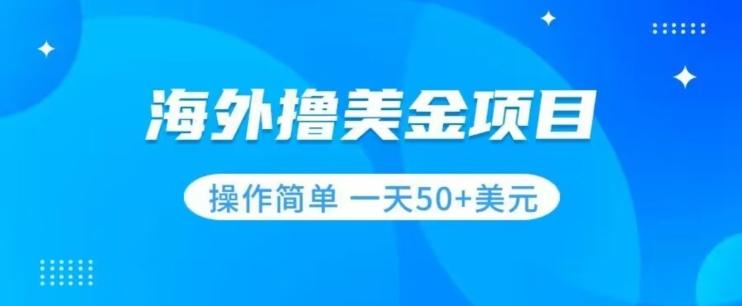 撸美金项目无门槛操作简单小白一天50+美刀-云泽轻创网