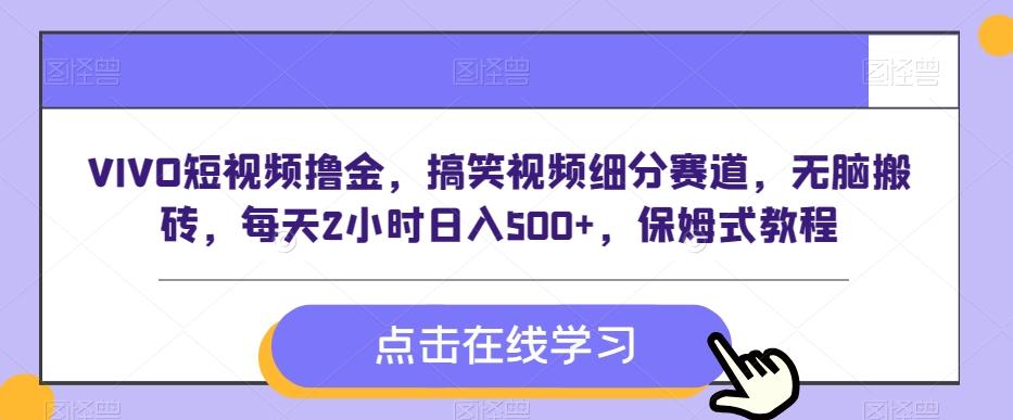 VIVO短视频撸金，搞笑视频细分赛道，无脑搬砖，每天2小时日入500+，保姆式教程-云泽轻创网