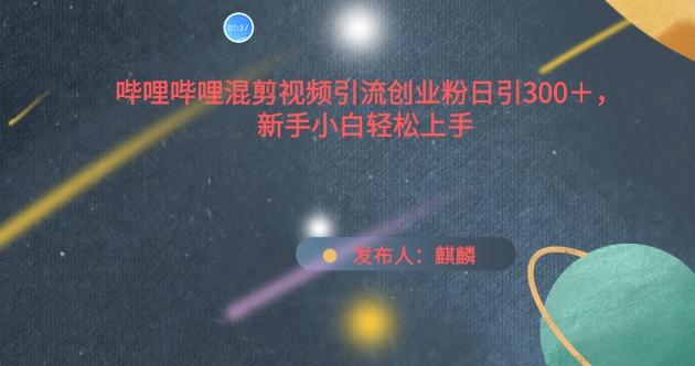 哔哩哔哩混剪视频引流创业粉日引300+，新手小白轻松上手【揭秘】-云泽轻创网