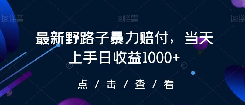 最新野路子暴力赔付，当天上手日收益1000+【仅揭秘】-云泽轻创网