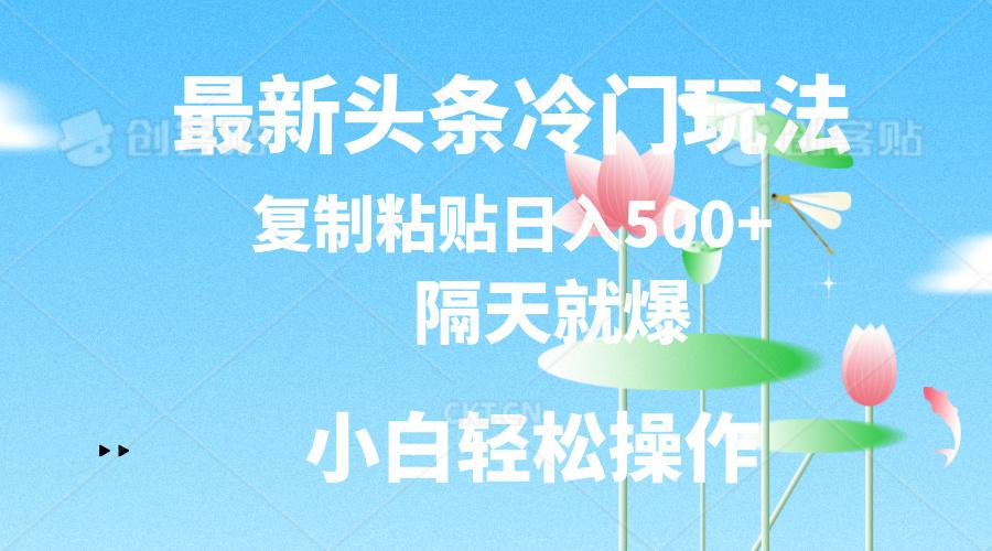 最新头条冷门玩法，隔天就爆，复制粘贴日入500+-云泽轻创网
