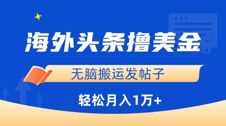 海外头条撸美金，无脑搬运发帖子，月入1万+，小白轻松掌握【揭秘】-云泽轻创网