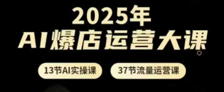 2025年AI爆店运营大课，13节AI实操课+37节流量运营课-云泽轻创网