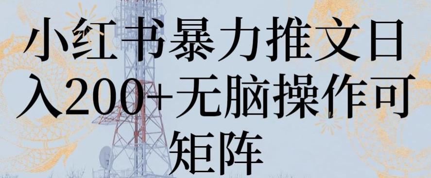 小红书暴力推文日入200+无脑操作可矩阵【揭秘】-云泽轻创网