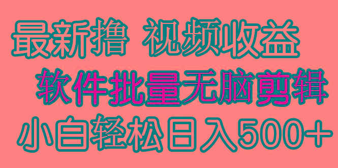 (9569期)发视频撸收益，软件无脑批量剪辑，第一天发第二天就有钱-云泽轻创网