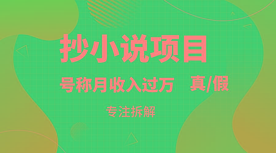 抄小说项目，号称月入过万，到底是否真实，能不能做，详细拆解-云泽轻创网