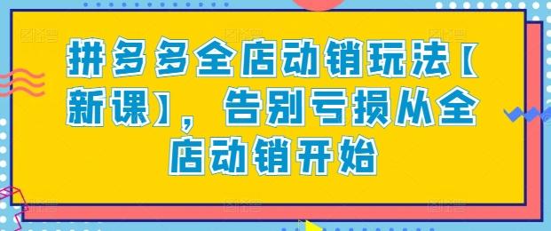 拼多多全店动销玩法【新课】，告别亏损从全店动销开始-云泽轻创网