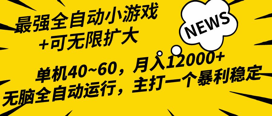 (10046期)2024最新全网独家小游戏全自动，单机40~60,稳定躺赚，小白都能月入过万-云泽轻创网