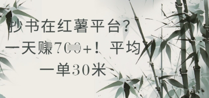 抄书在小红薯平台？平均一单30米，一天收益几张！-云泽轻创网