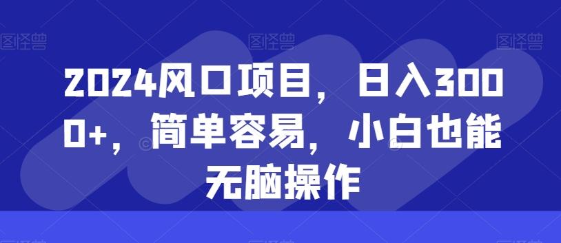2024风口项目，日入3000+，简单容易，小白也能无脑操作-云泽轻创网