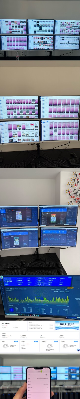 实操项目合集 挂机类型 直播类型 轻资产创业类型 课程分享各项目介绍和原理-云泽轻创网