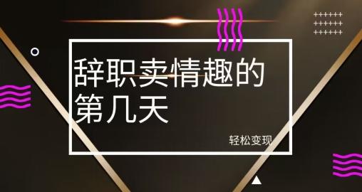 冷门赛道，辞职卖情趣的第几天，超暴力项目-云泽轻创网