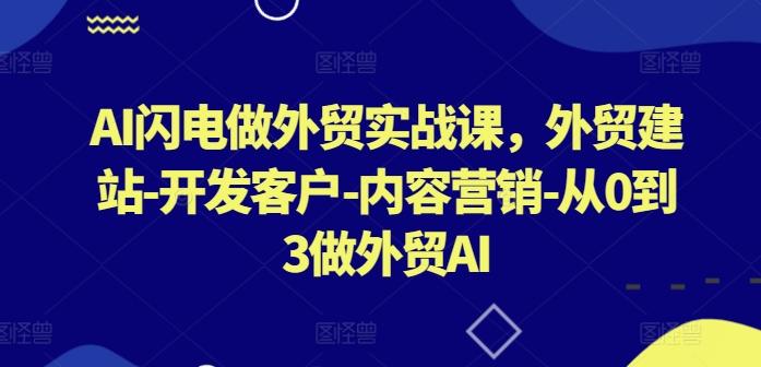 AI闪电做外贸实战课，​外贸建站-开发客户-内容营销-从0到3做外贸AI-云泽轻创网