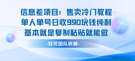 信息差项目：售卖冷门教程单人单号日收9张纯利基本就是复制粘贴就能做-云泽轻创网