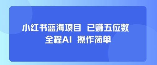 小红书蓝海项目，全程AI，操作简单，已挣五位数-云泽轻创网