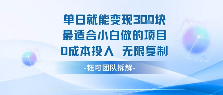 单日就能变现3张最适合小白做的项目0成本投入 无限复制-云泽轻创网