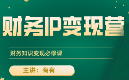 有有老师·财务IP变现营，财务知识变现必修课-云泽轻创网