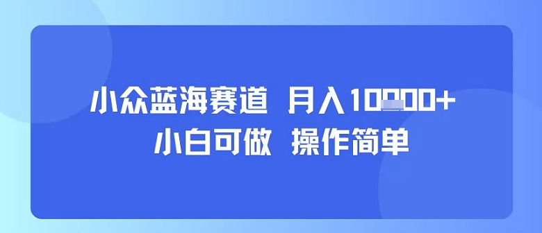 小众蓝海赛道，小白可做，操作简单，每天30分钟，月入1W+-云泽轻创网