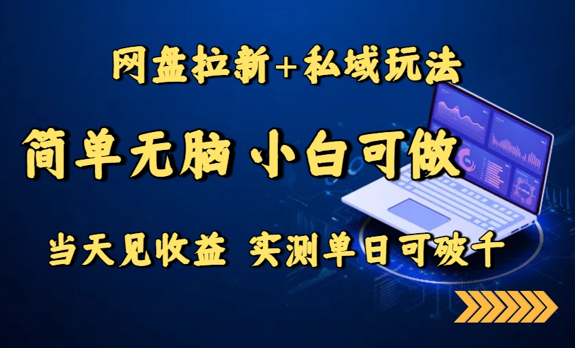 网盘拉新+私域玩法，简单无脑，小白可做，当天见收益，实测单日可破千-云泽轻创网