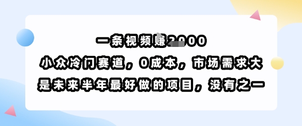 一条视频挣1k，小众冷门赛道，0成本，市场需求大，是未来半年最好做的项目，没有之一-云泽轻创网