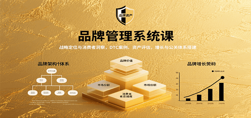 品牌管理系统课：战略定位与消费者洞察，DTC案例、资产评估，增长与公关体系搭建-云泽轻创网