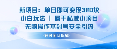 新项目单日即可变现3张的小白玩法无脑操作不封号安全引流-云泽轻创网