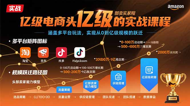 亿级电商头部卖家的实战课程：涵盖多平台玩法，实现从0到亿级规模的跃迁-云泽轻创网