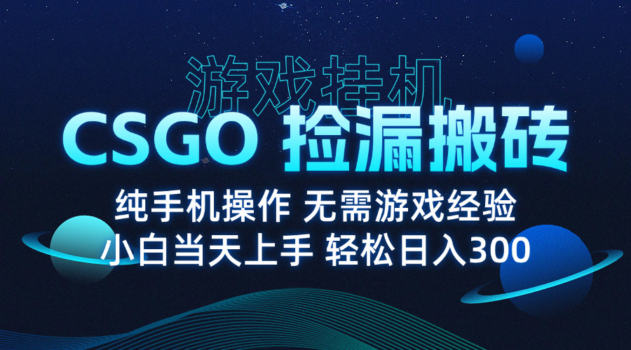 8月最新游戏搬砖，CSGO纯挂机，不需要玩游戏，实现真挂机，月入1W+-云泽轻创网