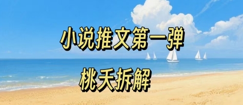 小说推文项目操作全流程第一弹，0粉就能做，门槛低非常适合新手-云泽轻创网