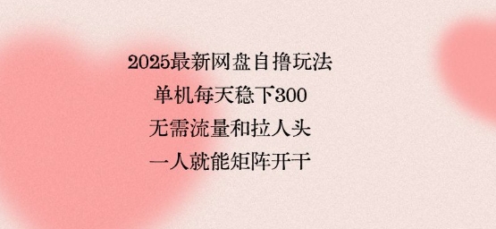 2025最新网盘自撸玩法，单机每天稳下3张，无需流量和拉人头，一个人就可轻松矩阵，全网独一份【揭秘】-云泽轻创网