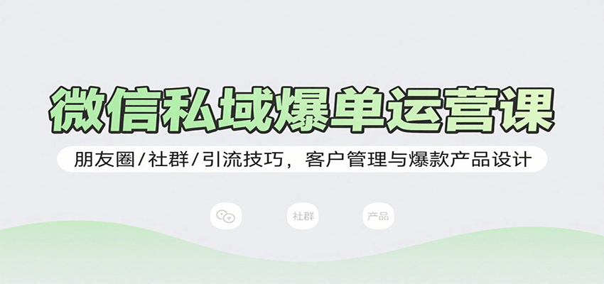 微信私域爆单运营课：朋友圈/社群/引流技巧，客户管理与爆款产品设计-云泽轻创网
