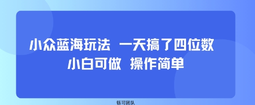 小众蓝海玩法 一天搞了四位数 小白可做 操作简单-云泽轻创网