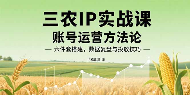 三农IP实战课：账号运营方法论，六件套搭建，数据复盘与投放技巧-云泽轻创网