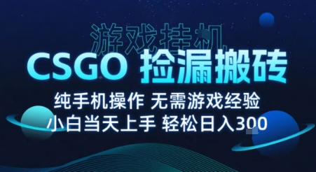8月最新游戏搬砖，CSGO纯挂G，不需要玩游戏，实现真挂G，月入1W+【揭秘】-云泽轻创网