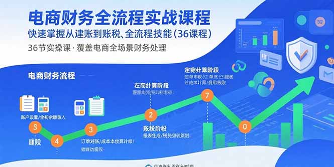 电商财务全流程实战课程：快速掌握从建账到报税的全流程技能(36节课-云泽轻创网