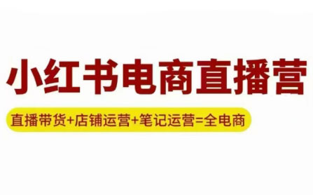 申铭老师·小红书电商直播营(更新)-云泽轻创网