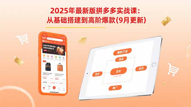 2025年最新版拼多多实战课：从基础搭建到高阶爆款(9月更新-云泽轻创网