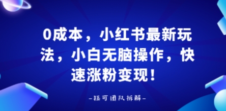 0成本，小红书最新玩法，小白无脑操作，快速涨粉变现-云泽轻创网