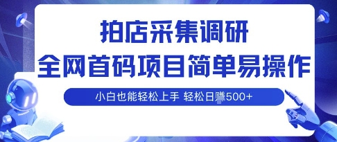 拍店采集调研，全网首码项目，简单易操作， 小白也能轻松上手，多账号操作，轻松日入5张【揭秘】-云泽轻创网