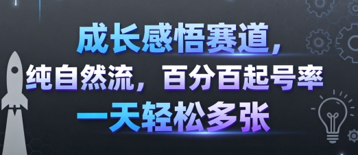 成长感悟赛道，纯自然流，百分百起号率 一天轻松多张-云泽轻创网