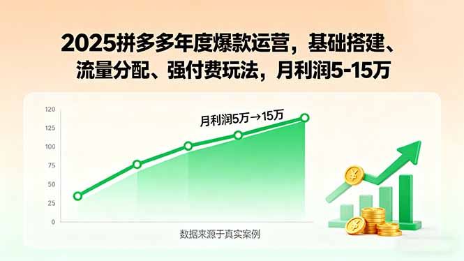 2025拼多多年度爆款运营，基础搭建、流量分配、强付费玩法，月利润5-15万-云泽轻创网