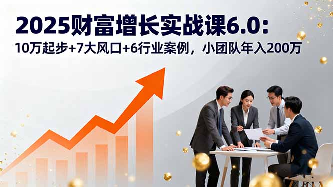 2025财富增长实战课6.0：10万起步+7大风口+6行业案例，小团队年入200万-云泽轻创网